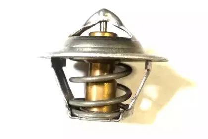 Термостат, охлаждающая жидкость BUGIAD купить