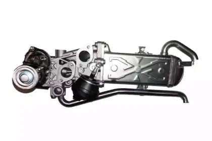 Клапан возврата ОГ BUGIAD купить