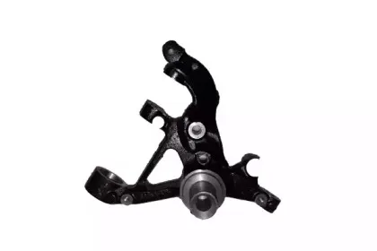 Поворотный кулак, подвеска колеса BUGIAD купить