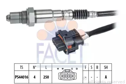 Лямбда-зонд FACET купить