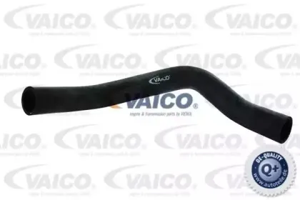 Шланг радиатора VAICO купить