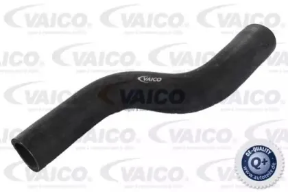 Шланг радиатора VAICO купить