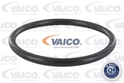 Прокладка, корпус воздушного фильтра VAICO купить