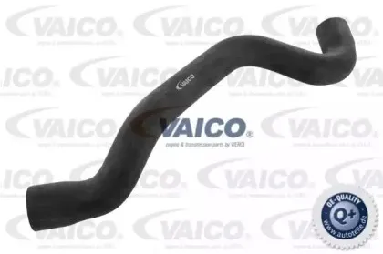 Шланг радиатора VAICO купить