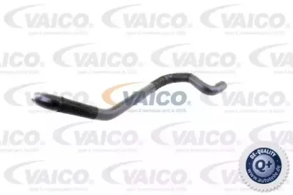 Шланг радиатора VAICO купить
