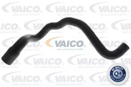 Шланг радиатора VAICO купить