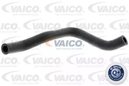 Шланг, вентиляция картера VAICO купить