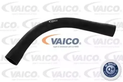 Шланг радиатора VAICO купить