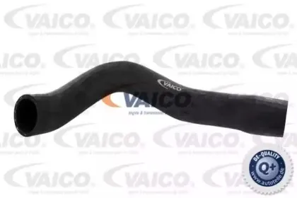Шланг радиатора VAICO купить