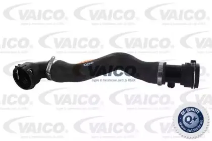 Шланг радиатора VAICO купить