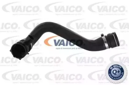 Шланг радиатора VAICO купить