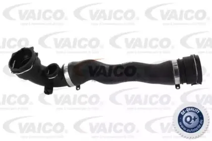 Шланг радиатора VAICO купить