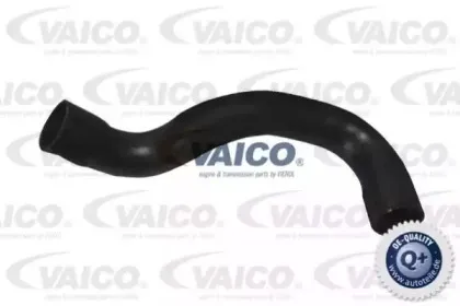 Шланг радиатора VAICO купить