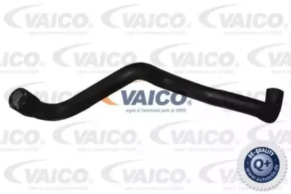 Шланг радиатора VAICO купить