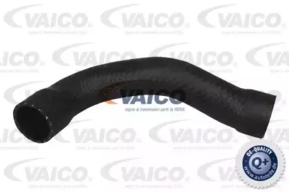 Шланг радиатора VAICO купить