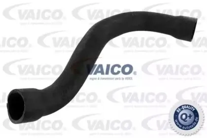 Шланг радиатора VAICO купить