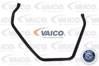 Шланг радиатора VAICO купить