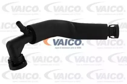 Шланг, вентиляция картера VAICO купить