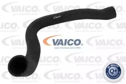 Шланг радиатора VAICO купить