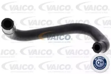 Шланг, вентиляция картера VAICO купить