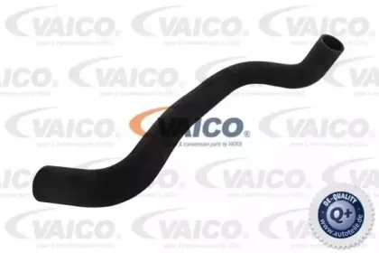 Шланг радиатора VAICO купить
