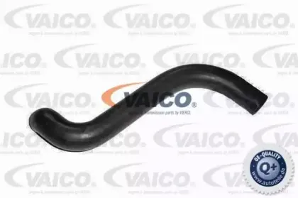 Шланг радиатора VAICO купить