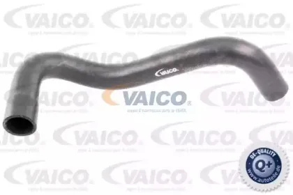 Шланг радиатора VAICO купить