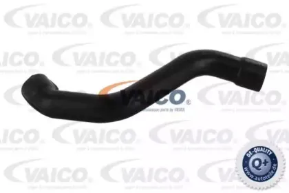 Шланг, воздухоотвод крышки головки цилиндра VAICO купить