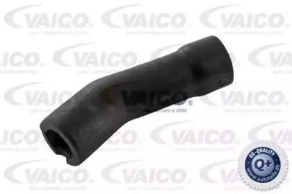 Шланг, вентиляция картера VAICO купить