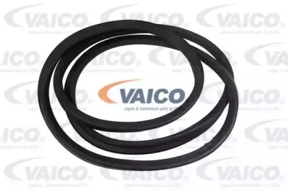 Прокладка, ветровое стекло VAICO купить
