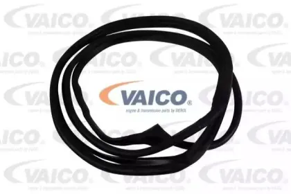 Уплотнение двери VAICO купить