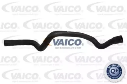 Шланг радиатора VAICO купить