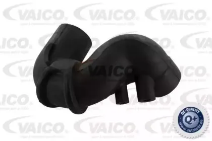 Шланг, воздухоотвод крышки головки цилиндра VAICO купить