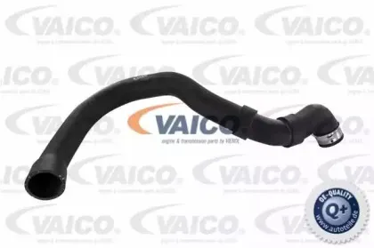 Шланг радиатора VAICO купить