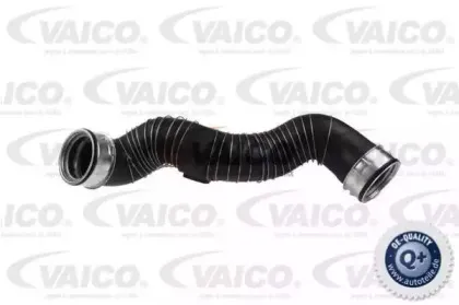Трубка нагнетаемого воздуха VAICO купить