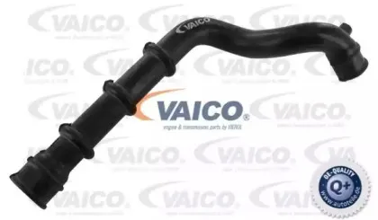 Шланг, вентиляция картера VAICO купить