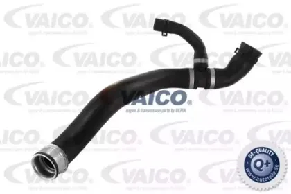 Шланг радиатора VAICO купить