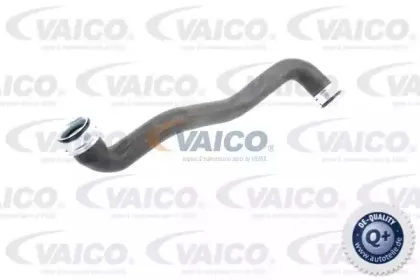 Шланг радиатора VAICO купить
