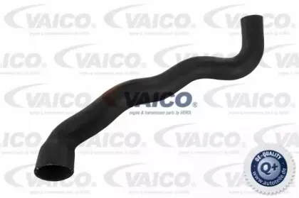 Шланг радиатора VAICO купить
