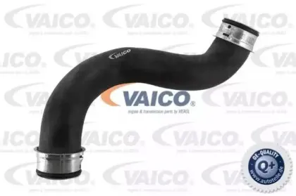 Шланг радиатора VAICO купить