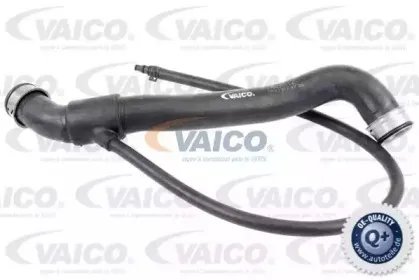 Шланг радиатора VAICO купить