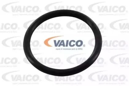 Уплотнительное кольцо, резьбовая пробка маслосливн. отверст. VAICO купить