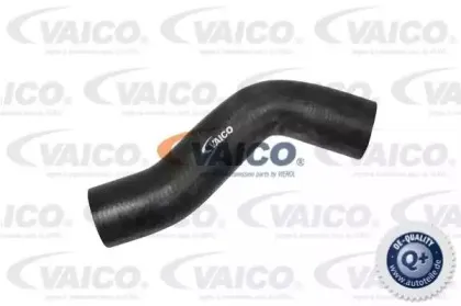 Шланг радиатора VAICO купить