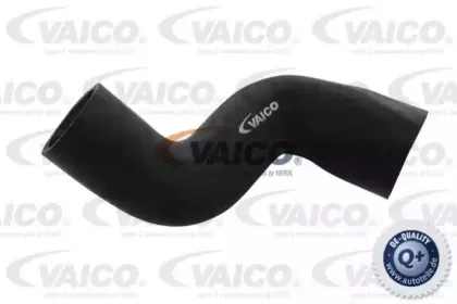 Шланг радиатора VAICO купить