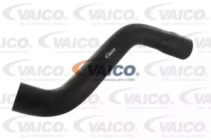 Шланг радиатора VAICO купить