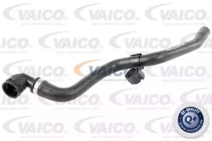 Шланг радиатора VAICO купить