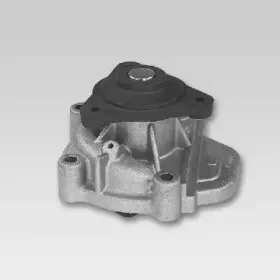 Водяной насос HEPU купить