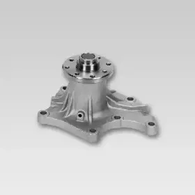 Водяной насос HEPU купить