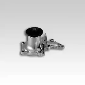 Водяной насос HEPU купить