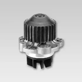 Водяной насос HEPU купить